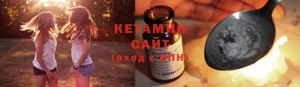 индика Снежногорск