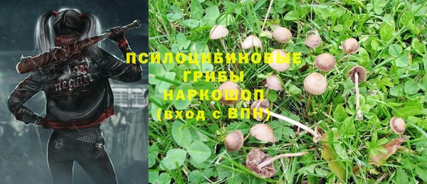 индика Снежногорск