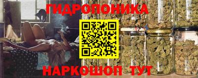 ПСИЛОЦИБИНОВЫЕ ГРИБЫ Бийск