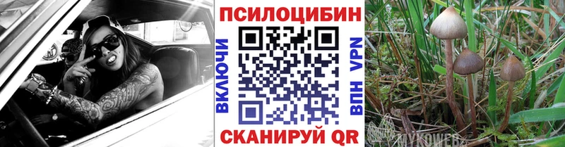 Галлюциногенные грибы ЛСД мега ссылка Воскресенск