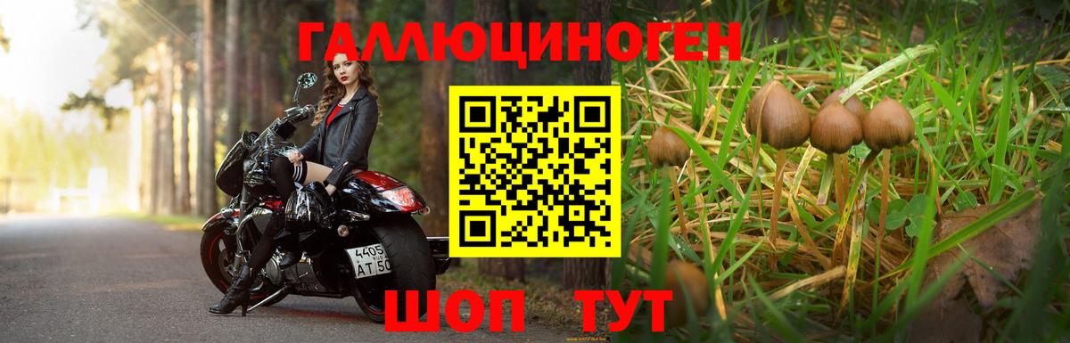 Псилоцибиновые грибы Psilocybine cubensis  Воскресенск 